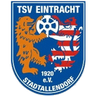 Eintracht Stadtallendorf logo
