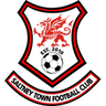Saltney Town logo