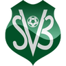 Suriname logo