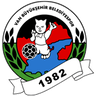 Vanspor FK logo
