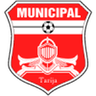 Municipal Tarija logo