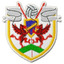 Bryntirion Athletic