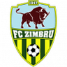 Zimbru logo
