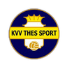 Thes Sport logo