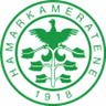 HamKam II logo