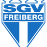 SGV Freiberg Fussball U19 logo