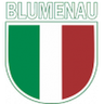 Blumenau logo