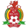 Briton Ferry logo