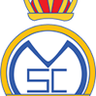 Real Mississauga logo