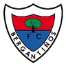 Bergantiños logo