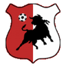 Bonyhád Völgység logo