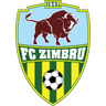 Zimbru II logo