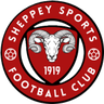 K Sports logo