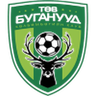 Central Stallions logo