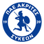 Akrites Sykeon