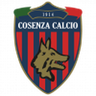 Cosenza U19 logo