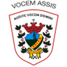 VOCEM U20 logo