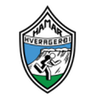 Hamar logo