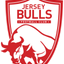 Jersey Bulls