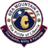 BEA Mountain logo