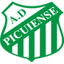 Picuiense