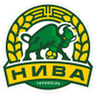 Nyva Ternopil logo