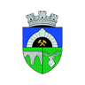 Anenii Noi W logo