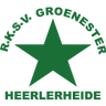 Groene Ster logo