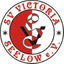 Victoria Seelow