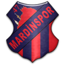 Mardin 47 Spor logo