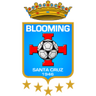 Blooming logo