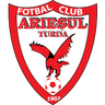Arieşul Turda logo