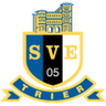 Eintracht Trier U19 logo