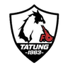 Tatung logo