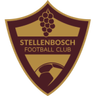 Stellenbosch FC logo