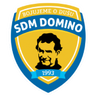 Domino logo