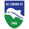 Carina logo