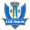 CSM Targu Jiu logo