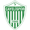 Çayelispor logo