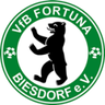 Fortuna Biesdorf logo