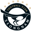 Seongnam FC