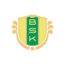 Bollstanäs W logo