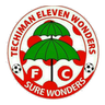 Eleven Wonders logo