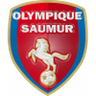 Saumur logo