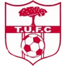 Tallinding United logo