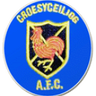 Croesyceiliog AFC logo