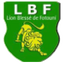 Lion Blessé