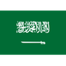 Team Saudi Arabia logo