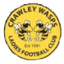 Crawley Wasps W