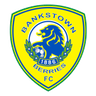 Canterbury Bankstown logo